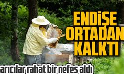 Arıcılar rahat bir nefes aldı