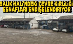 Balık hali'ndeki çevre kirliliği esnafları endişelendiriyor