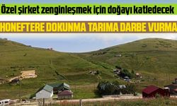 Honeftere dokunma Tarıma darbe Vurma