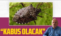 Ekonomimize zararı büyük olacak