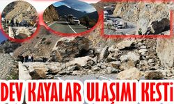 Artvin'de heyelan yol kapattı