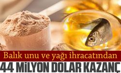 Balık unu ve yağı ihracatından 44 milyon dolar kazanç