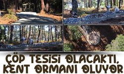Araklı Turup bölgesinde Millet Ormanı yapılıyor