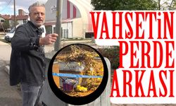 Kastamonu’daki vahşetin perde arkası