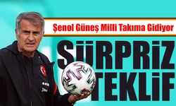 Şenol Güneş Milli Takıma Gidiyor