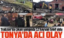 Trabzon'da çıkan yangında 12 hayvan telef oldu