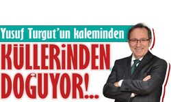 Küllerinden Doğuyor