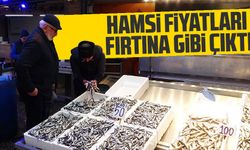 Hamsi Fiyatları Fırtına Gibi Çıktı