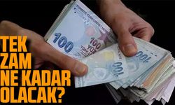 Asgari ücret yeni rekorunu kıracak! 'Tek zam' ne kadar olacak?