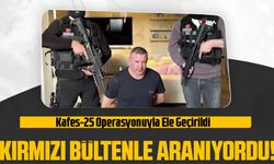 Kafes-25 Operasyonu: İnterpol'un Kırmızı Bülteniyle Aranan Suç Örgütü Lideri İstanbul'da Yakalandı