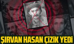 PKK/YPG'nin sözde sorumlularından Şirvan Hasan'ı, Suriye Deyrizor'da düzenlediği operasyonla etkisiz hale getirdi