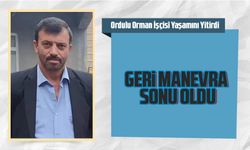 Rize'de Ordulu Orman İşçisi Yaşamını Yitirdi