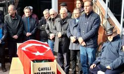 Çayeli Muhtarlar Derneği Başkanı Mehmet Ali Şark Kalp Krizi Geçirerek Hayatını Kaybetti