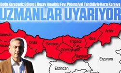 Doğu Karadeniz Bölgesi, Kuzey Anadolu Fayı Potansiyel Tehdidiyle Karşı Karşıya