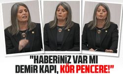 CHP Trabzon Milletvekili Sibel Suiçmez, Meclis Kürsüsünden İktidara Sert Tepki