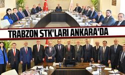 Trabzon STK'ları Ankara'da Bakan Uraloğlu ile İstişarede Bulundu