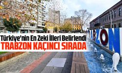 Türkiye'nin Zeka Sıralamasında Trabzon 11. Sırada