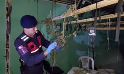 Tekirdağ'da Gerçekleşen Operasyonda "Fabrika Görünümlü Uyuşturucu Sera" Ortaya Çıktı!