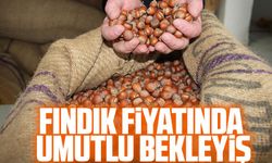 Fındık Fiyatı Yılbaşı Öncesinde 100 TL'de Sabitlendi. Üreticiler, Fiyat Artışını Değerlendiriyor