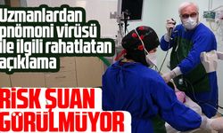 Uzmanlardan pnömoni virüsü ile ilgili rahatlatan açıklama
