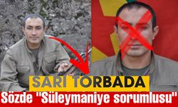 MİT, PKK'nın Süleymaniye Sorumlusu Mehmet Şefa Akman'ı Etkisiz Hale Getirdi