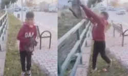 TikTok Üzerinde Kediye İşkence Videosu Çeken Çocuk Serbest, Görüntüyü Kaydeden Yabancı Şahıs Sınır Dışı Edilecek