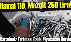 Karadeniz Fırtınası Balık Piyasasını Vurdu: Hamsi 110, Mezgit 250 Lira!