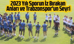 A Milli Futbol Takımı'nın UEFA 2023 Avrupa Şampiyonası'ndaki Başarısı ve Trabzonspor'un Teknik Direktör Değişikliği