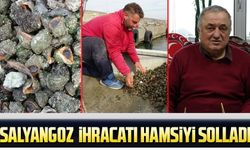 Türkiye, Deniz Salyangozu İhracatıyla Döviz Gelirini Artırıyor