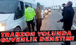 Trabzon Yolunda Öğrenci Servis Araçlarına Güvenlik Denetimi