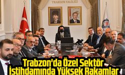 Trabzon'da Özel Sektör İstihdamında Yüksek Rakamlar; 2023 Yılında 13,539 Kişi Özel Sektörde İşe Yerleştirildi