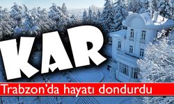 Trabzon şehrinde dün gece saatlerinden itibaren başlayan kar yağışı, şehirde olumsuz etkilere neden olmaya devam ediyor