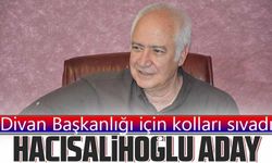 Trabzonspor Divan Başkanlığı İçin İlk Aday Belli Oldu: Hayrettin Hacısalihoğlu