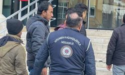 Gümüşhane'de Kaçak Göçmen Operasyonu: 5 Yabancı Uyruklu Şahıs Yakalandı
