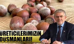 Ortahisar Ziraat Odası Başkanı Mustafa Bekar, Fındık Fiyatlarına Dikkat Çekiyor