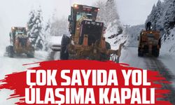 Giresun'da Kar Yağışı Nedeniyle Yollar Kapandı, Özel İdare Ekipleri Çalışmalarını Sürdürüyor