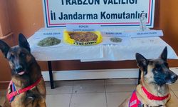 Trabzon İl Jandarma Komutanlığı, Akçaabat Derecik Mahallesinde Uyuşturucu Operasyonu Gerçekleştirdi