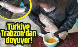 Trabzon'da Doğal Alabalık Üretimi ve Balıklandırma Projesi Devam Ediyor
