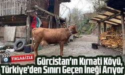 Gürcistan'ın Kırnati Köyü, Türkiye'den Sınırı Geçen İneği Arıyor