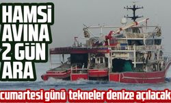 Karadeniz'de Hamsi Bolluğu Son Günlerde Düşüşte: Tekneler 2 Gün Hamsi Avlamama Kararı Aldı