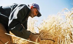 Çiftçiye Görülmemiş Ödeme: Faiz Olmadan Bu Para Hesaplara Yatacak