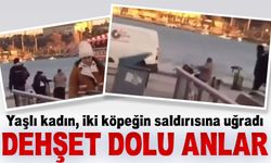 Kadıköy sahilinde yaşanan olayda, bir yaşlı kadın iki köpeğin saldırısına maruz kaldı. İşte o anlarda yaşananlar: