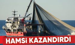 Hamsi İhracatı Türkiye'ye Son 2 Yılda 24 Milyon Dolarlık Döviz Girdisi Sağladı