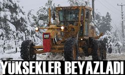 Trabzon'un yüksek kesimlerinde etkili olan kar yağışı sonucu yaylalar bembeyaz bir görünüme büründü