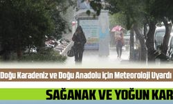 Meteoroloji uyardı! Doğu Karadeniz ve Doğu Anadolu'da Kuvvetli Sağanak ve Yoğun Kar Uyarısı: 