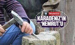 Ordu’da Taş Oymacılığı Sanatıyla Bezeli Bir Ev Bahçesi: Karadeniz’in Nemrut’u !