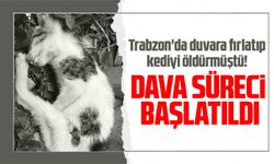 Trabzon'da duvara fırlatıp kediyi öldürmüştü!