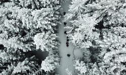 "Kar Altında Büyüleyici Güzellik: Tersun Dağı'nda Doğa Yürüyüşü"