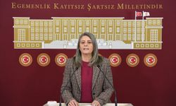 Sibel Suiçmez’den AK Parti ve İYİ Partili vekillere davet