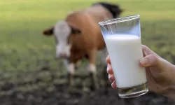 Süt ve Yoğurt Ürünlerine Yeni Kısıtlama: Büyük Ambalajlarda Satış Yasaklandı